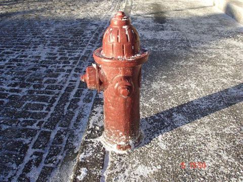 Photo 5 of Fire Hydrants