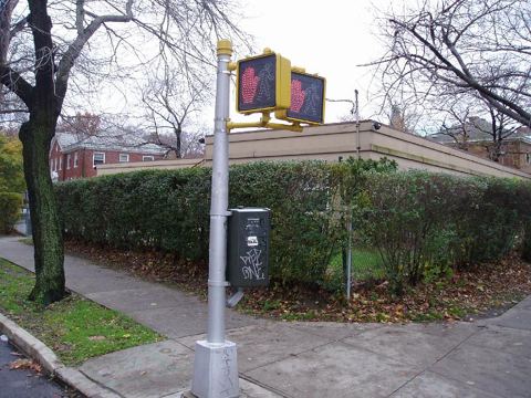 Photo 2 of Traffic Signals